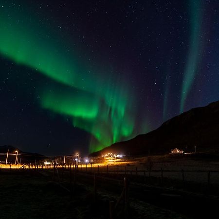 Arctic Lodge Tromvik With Jacuzzi Тромсе Екстер'єр фото