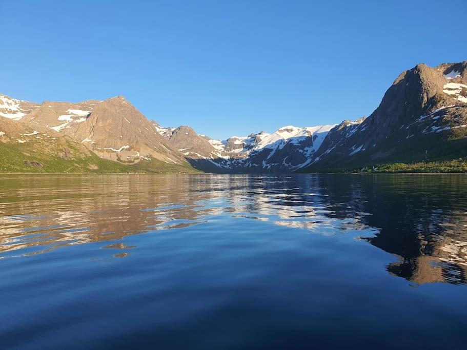 Arctic Lodge Tromvik With Jacuzzi Тромсе Екстер'єр фото