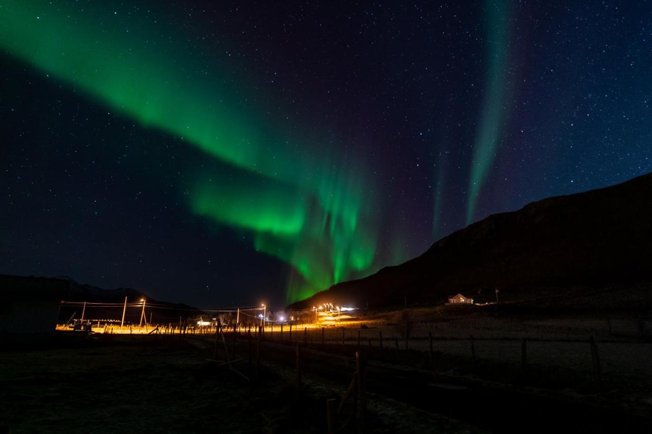 Arctic Lodge Tromvik With Jacuzzi Тромсе Екстер'єр фото